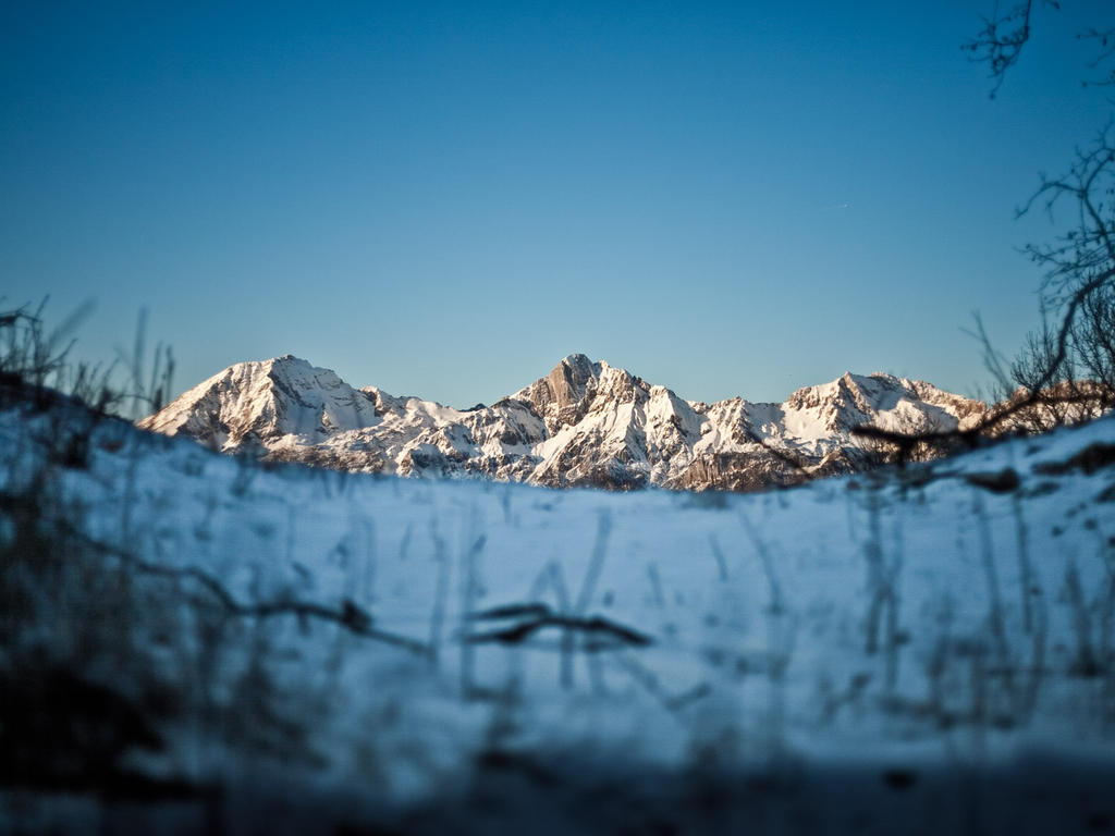 Ferienwohnungen Matzner Admont Luaran gambar